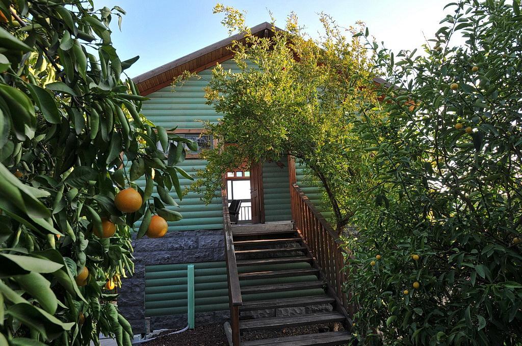 Sharvit Hakesem Villa Livnim Dış mekan fotoğraf
